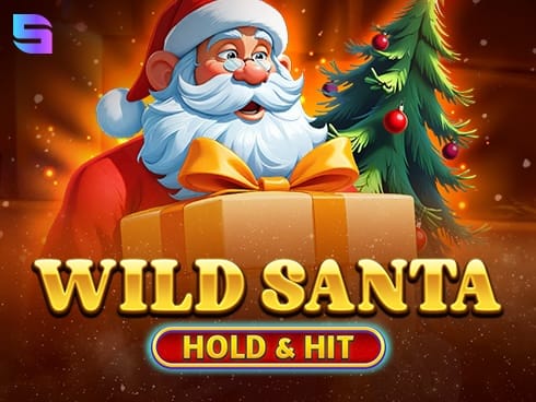 Wild Santa - Hold and Hit game icon
